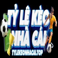 tylekeonhacaito3