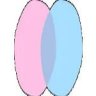 chatnederland